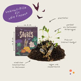 Saatpille Halloween Süsses oder Saures Violett