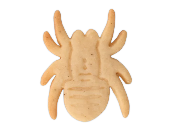 Ausstechform und Stanzform Halloween Spinne