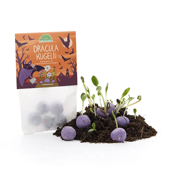 Blumenmurmel Halloween Dracula Kugeln