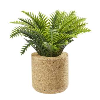 Wichtelzubehör  Palm Pflanze