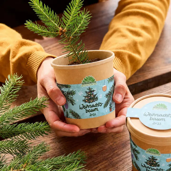 Weihnachtsbaum aus dem Becher