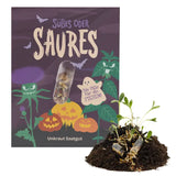 Saatpille Halloween Süsses oder Saures Violett
