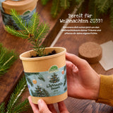 Weihnachtsbaum aus dem Becher