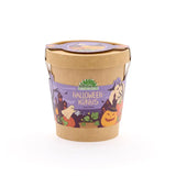 Blumenbecher Halloween Kürbis