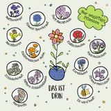 Blumenmurmel Weihnachtsmann - Frohes Fest
