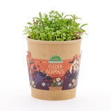 Blumenbecher Halloween Flederschmaus