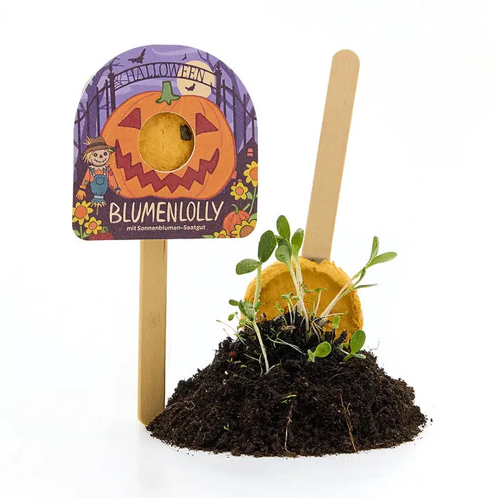 Blumenmurmel Halloween Blumenlolly