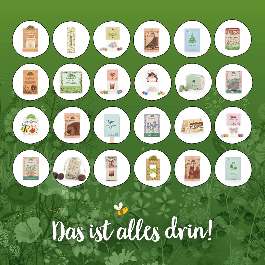 Adventskalender Blumenmurmeln - Kleine Naturerlebnisse