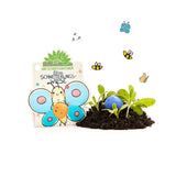 Blumenmurmel Ellas Schmetterlingswiese