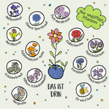 Blumenmurmel 5 Stück