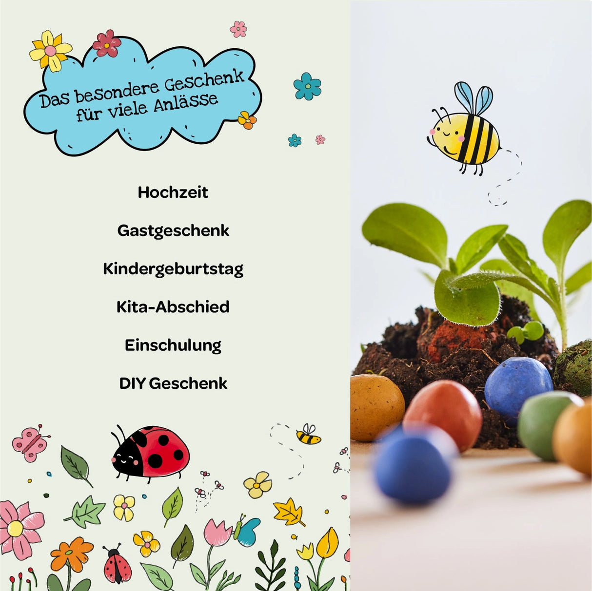 Blumenmurmel Waldfreunde