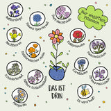 Blumenmurmel Endlich Schulkind!