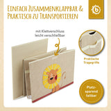 Erinnerungsbox & Spielbox Löwe