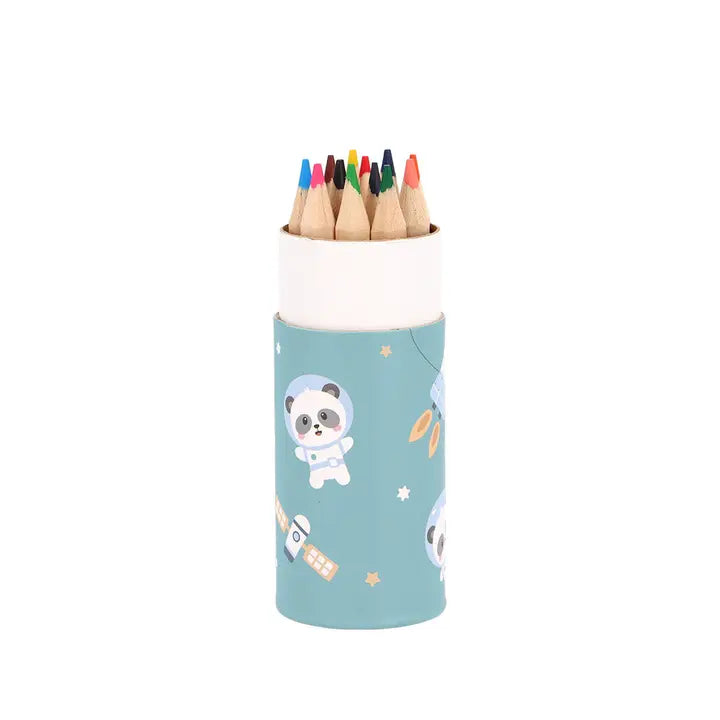 Mini Farbstifte Dose Panda