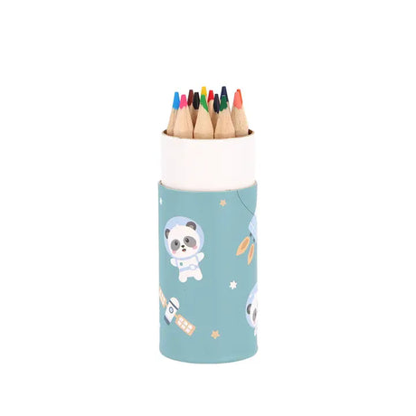 Mini Farbstifte Dose Panda