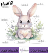 Schutzfolie Toniebox Hase 21