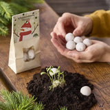 Blumenmurmel Schneemannbäuche