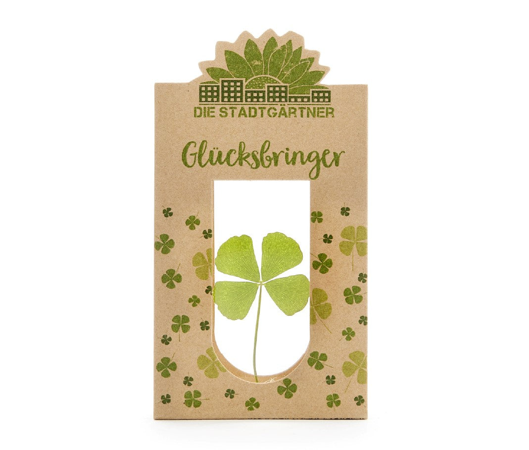 Glücksbringer Kleeblatt