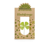 Glücksbringer Kleeblatt