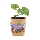 Blumenbecher Halloween Kürbis