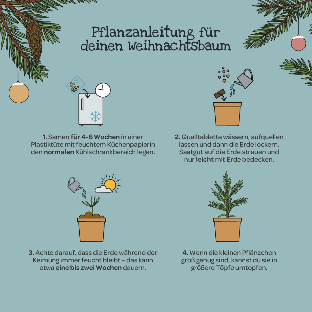 Weihnachtsbaum aus dem Becher