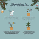Weihnachtsbaum aus dem Becher