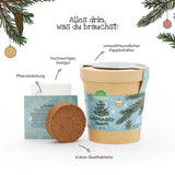 Weihnachtsbaum aus dem Becher
